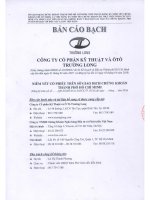 Bản cáo bạch - Công ty Cổ phần Kỹ thuật và Ô tô Trường Long