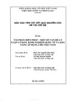 Tài phán hiến pháp   một số vấn đề lý luận cơ bản, kinh nghiệm quốc tế và khả năng áp dụng cho việt nam 