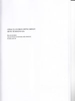 Báo cáo tài chính quý 2 năm 2012 (đã soát xét) - Công ty Cổ phần Chứng khoán Quốc tế Hoàng Gia