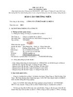 Báo cáo thường niên năm 2011 - CTCP Khí cụ Điện 1