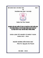 NGHIÊN cứu đặc điểm tế bào DI TRUYềN và đột BIếN GEN của BệNH NHÂN lơ xê MI KINH DòNG BạCH cầu hạt tại VIệN HUYếT học TRUYềN máu TRUNG ƯƠNG 