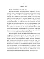 Nghiên cứu, áp dụng và đánh giá các kỹ thuật sửa toàn bộ bệnh kênh nhĩ thất bán phần tại bệnh viện tim hà nội 