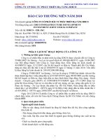 Báo cáo thường niên năm 2010 - Công ty Cổ phần Đầu tư phát triển hạ tầng IDICO