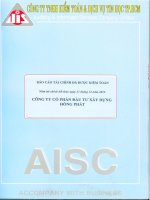 Báo cáo tài chính năm 2012 (đã kiểm toán) - Công ty Cổ phần Đầu tư Xây dựng Hồng Phát