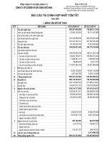 Báo cáo tài chính năm 2008 - Công ty Cổ phần Someco Sông Đà
