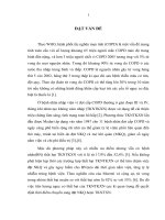 Đánh giá các yếu tố tiên lượng thất bại của thông khí nhân tạo không xâm nhập trong đợt cấp bệnh phổi tắc nghẽn mạn tính 