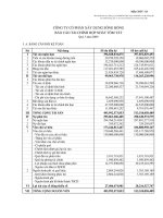 Báo cáo tài chính quý 3 năm 2009 - Công ty Cổ phần Xây dựng Sông Hồng