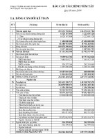 Báo cáo tài chính quý 3 năm 2009 - Công ty Cổ phần Sản xuất và Kinh doanh Kim khí