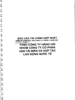 Báo cáo tài chính hợp nhất năm 2007 (đã kiểm toán) - CTCP Vận tải biển & Hợp tác Quốc tế