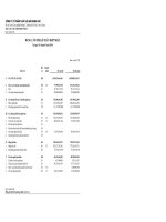 Báo cáo tài chính hợp nhất quý 1 năm 2010 - Công ty Cổ phần Tập đoàn Thủy sản Minh Phú