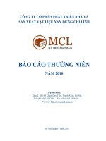 Báo cáo thường niên năm 2010 - Công ty Cổ phần Phát triển Nhà và Sản xuất Vật liệu xây dựng Chí Linh