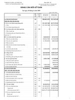 Báo cáo tài chính quý 2 năm 2009 - Công ty cổ phần Than Mông Dương - Vinacomin