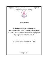 NGHIÊN cứu đặc điểm TRẦM cảm ở BỆNH NHÂN rối LOẠN tâm THẦN DO sử DỤNG các CHẤT DẠNG AMPHETAMINE điều TRỊ nội TRÚ tại VIỆN sức KHỎE tâm THẦN 