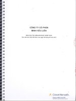 Báo cáo tài chính năm 2011 (đã kiểm toán) - Công ty Cổ phần Minh Hữu Liên