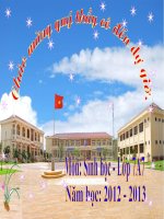 giáo án bàn tay nặn bột sinh học 7 đa dạng và đặc điểm chung của sâu bọ