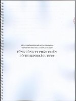 Báo cáo tài chính công ty mẹ năm 2009 (đã kiểm toán) - Tổng Công ty Phát triển Đô thị Kinh Bắc-CTCP