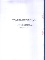 Báo cáo tài chính quý 1 năm 2010 - Công ty Cổ phần Đầu tư Địa ốc Khang An