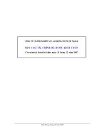 Báo cáo tài chính năm 2007 (đã kiểm toán) - Công ty Cổ phần Hợp tác Lao động với Nước ngoài