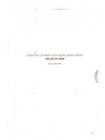Báo cáo tài chính công ty mẹ quý 1 năm 2010 - Công ty Cổ phần Xây dựng Sông Hồng