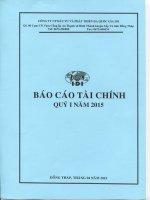 Báo cáo tài chính quý 1 năm 2015 - Công ty Cổ phần Đầu tư và Phát triển Đa Quốc Gia I.D.I