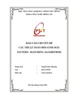 CÁC THUẬT TOÁN đối SÁNH mẫu PATTERN  MATCHING ALGORITHMS 