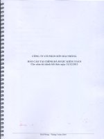 Báo cáo tài chính công ty mẹ năm 2013 (đã kiểm toán) - Công ty Cổ phần Sơn Hải Phòng