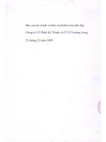 Báo cáo tài chính năm 2009 (đã kiểm toán) - Công ty Cổ phần Kỹ thuật và Ô tô Trường Long
