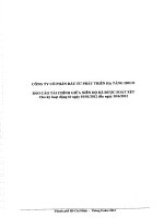 Báo cáo tài chính quý 2 năm 2012 (đã soát xét) - Công ty Cổ phần Đầu tư phát triển hạ tầng IDICO