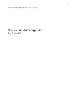 Báo cáo tài chính hợp nhất quý 4 năm 2010 - Công ty Cổ phần Thực phẩm Quốc tế