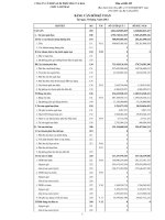 Báo cáo tài chính quý 1 năm 2012 - Công ty cổ phần Supe Phốt phát và Hóa chất Lâm Thao