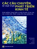 Các câu chuyện từ mặt trận phát triển kinh tế   kinh nghiệm trung quốc và một số nước về tạo việc làm và phát triển thịnh vượng nhờ công nghiệp nhẹ 