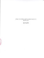 Báo cáo tài chính quý 4 năm 2012 - Công ty Cổ phần Chứng khoán Quốc tế Hoàng Gia