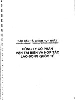 Báo cáo tài chính hợp nhất năm 2009 (đã kiểm toán) - CTCP Vận tải biển & Hợp tác Quốc tế