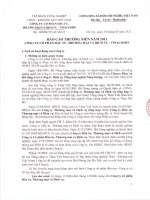 Báo cáo thường niên năm 2011 - Công ty cổ phần Đầu tư, Thương mại và Dịch vụ - Vinacomin