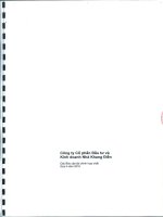 Báo cáo tài chính hợp nhất quý 4 năm 2010 - Công ty Cổ phần Đầu tư Kinh doanh nhà Khang Điền