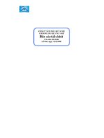 Báo cáo tài chính năm 2008 (đã kiểm toán) - Công ty Cổ phần Kỹ nghệ Khoáng sản Quảng Nam