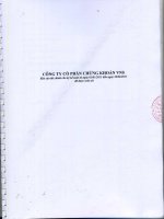 Báo cáo tài chính quý 2 năm 2011 (đã soát xét) - Công ty cổ phần Chứng khoán Đầu tư Việt Nam