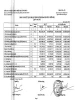 Báo cáo KQKD quý 4 năm 2012 - Công ty Cổ phần Đầu tư phát triển hạ tầng IDICO