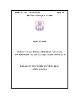NGHIÊN cứu đặc điểm xạ HÌNH THẬN CHỨC NĂNG TRÊN BỆNH NHÂN UNG THƯ đại TRỰC TRÀNG GIAI đoạn IV 