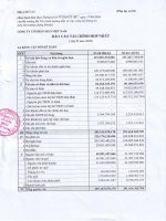 Báo cáo tài chính quý 2 năm 2009 - Công ty Cổ phần Đầu tư và Xây dựng BDC Việt Nam
