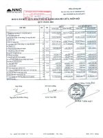 Báo cáo KQKD quý 3 năm 2010 - Công ty Cổ phần Đá Núi Nhỏ