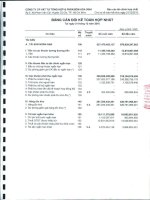 Báo cáo tài chính hợp nhất quý 4 năm 2010 - Công ty Cổ phần Vật tư tổng hợp và Phân bón Hóa sinh