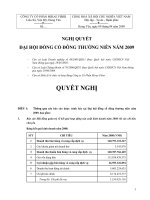 Nghị quyết đại hội cổ đông ngày 09-04-2009 - Công ty Cổ phần Mirae Fiber