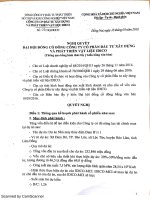 Nghị quyết Đại hội cổ đông - CTCP Đầu tư Xây dựng và Phát triển Vật liệu IDICO