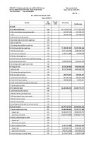 Báo cáo tài chính quý 3 năm 2011 - Công ty Cổ phần Phát triển Nhà và Sản xuất Vật liệu xây dựng Chí Linh