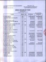 Báo cáo tài chính quý 3 năm 2011 - Công ty Cổ phần Đầu tư Thương mại Thủy Sản