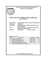 Báo cáo tài chính quý 2 năm 2012 - Công ty Cổ phần Đầu tư phát triển hạ tầng IDICO