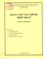 Báo cáo tài chính hợp nhất quý 1 năm 2014 - Công ty Cổ phần Liên doanh Đầu tư Quốc tế KLF