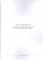 Báo cáo tài chính năm 2012 (đã kiểm toán) - Công ty Cổ phần Hòa Việt