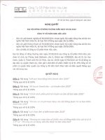 Nghị quyết Đại hội cổ đông thường niên năm 2010 - Công ty Cổ phần Minh Hữu Liên